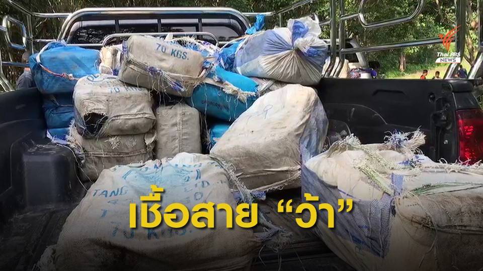 กองกำลังติดอาวุธคุ้มกันยาเสพติด คาดเป็นกลุ่มชาติพันธุ์ "ว้า"