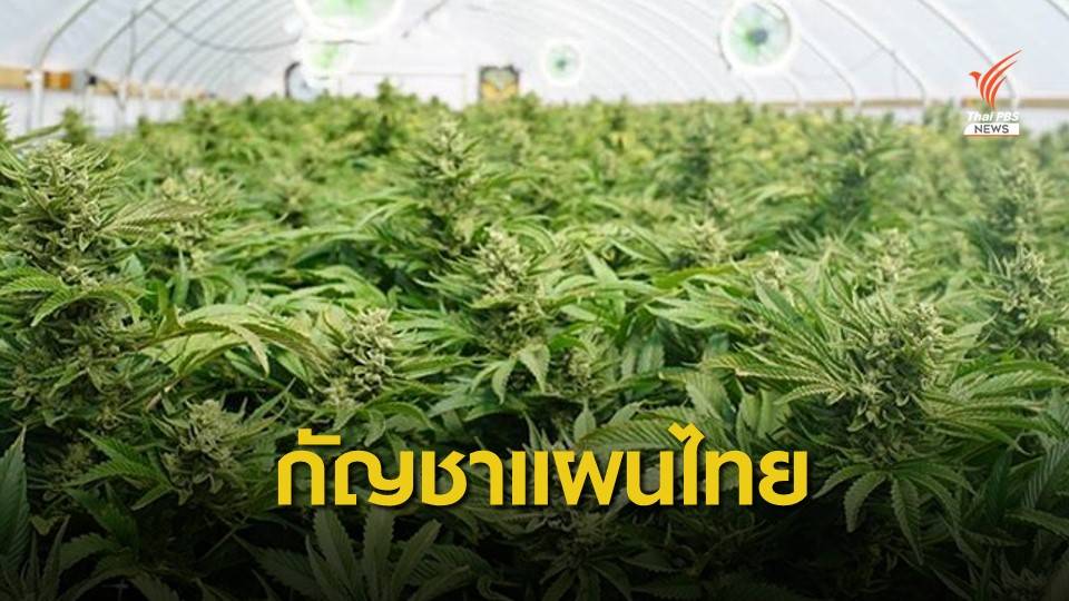ก.ย.นี้ คลินิกจ่าย 2 ตำรับยาแผนไทย "ศุขไสยาศน์-น้ำมันสูตรเดชา"