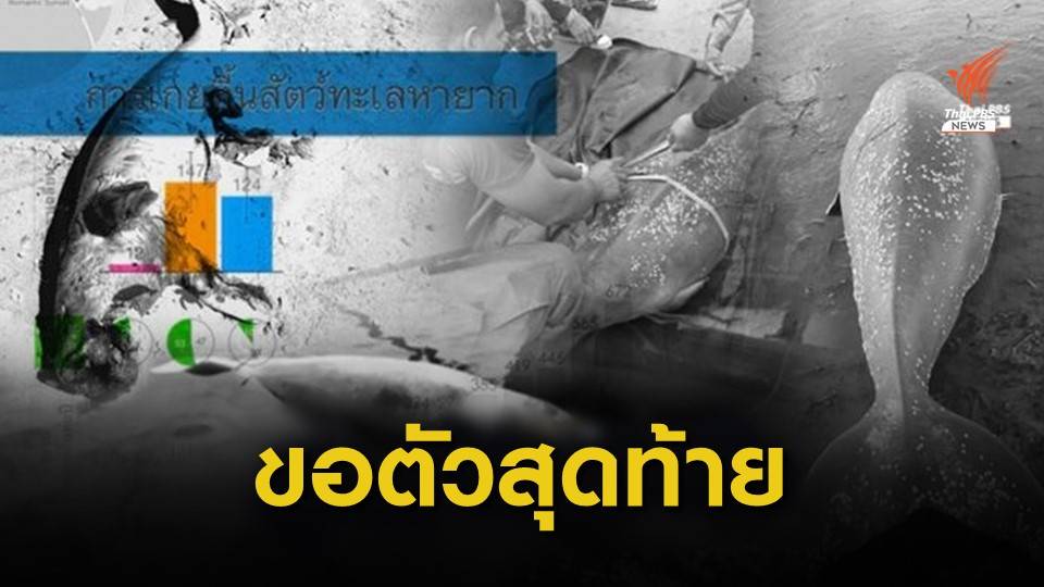 ไทม์ไลน์ พะยูนตายปี 62 ทะเลกระบี่-ตรัง