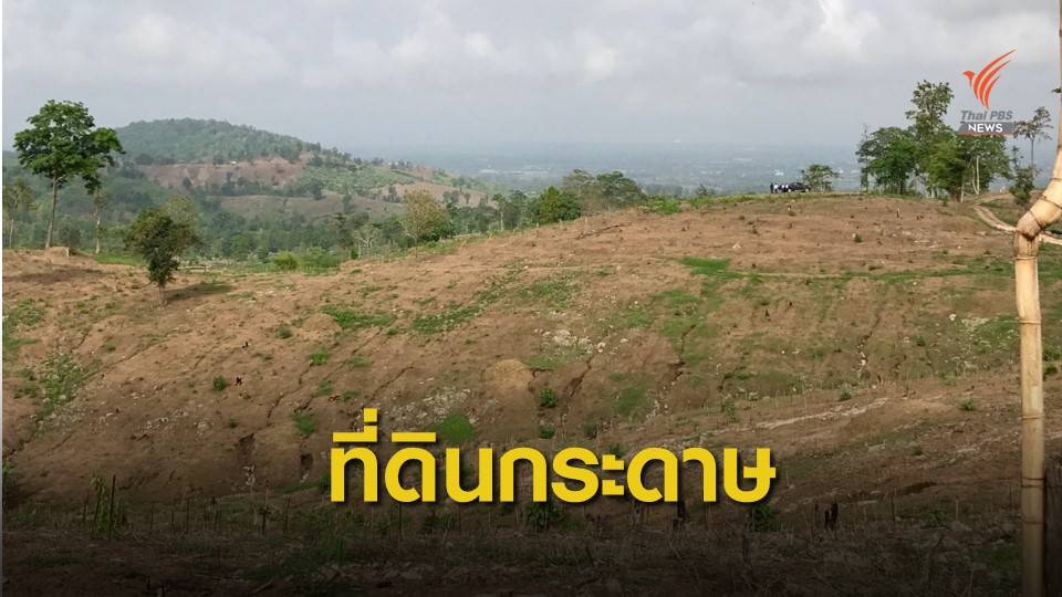 เตือน! ใบ ภบท.5 ลวงซื้อขายที่ดินในเขตป่าสงวนแห่งชาติ
