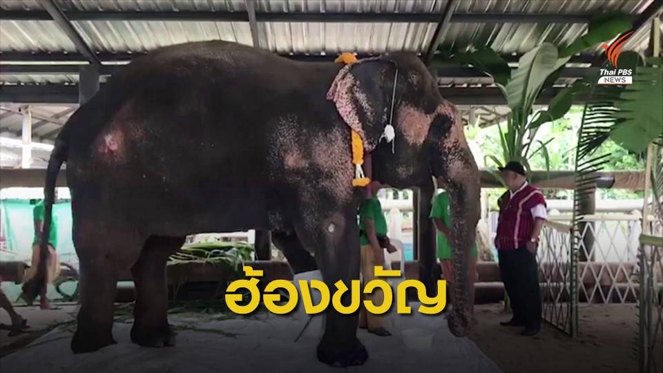 ครบรอบ 20 ปี "พังโม่ตาลา" รักษาตัวหลังเหยียบกับระเบิด