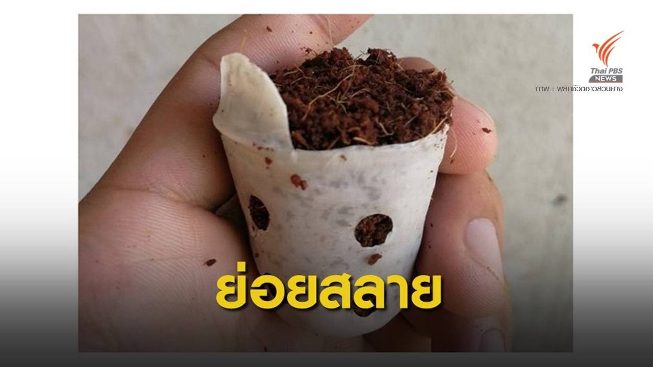 มองโกเลีย เล็งใช้ "ถุงเพาะชำชีวภาพ" จากไทยพลิกฟื้นทะเลทราย