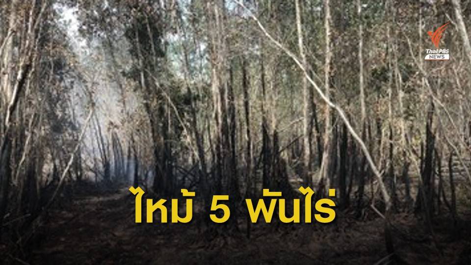 ปี 62 ไฟไหม้ป่าพรุควนเคร็ง 87 ครั้ง เสียพื้นที่ป่าเกือบ 5,000 ไร่