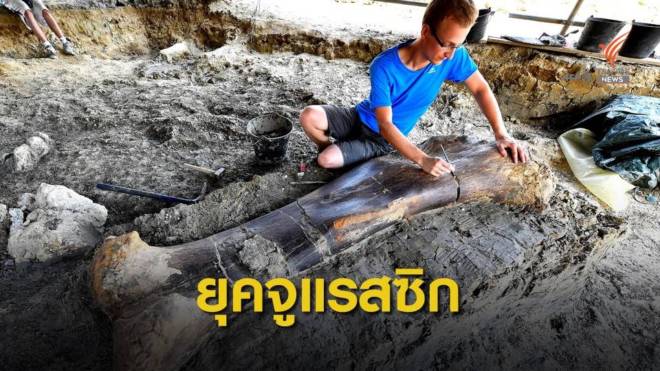 ฝรั่งเศสขุดพบ "กระดูกโคนขา" ไดโนเสาร์ คาดอายุกว่า 140 ล้านปี