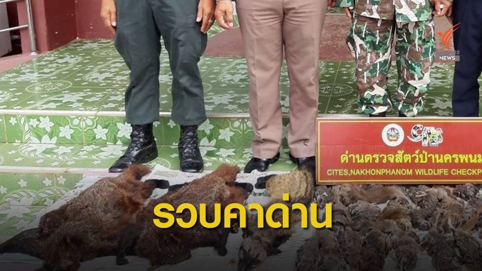  ซุก "ซากชะมดเช็ด-พญากระรอก" ลักลอบผ่านด่านนครพนม 