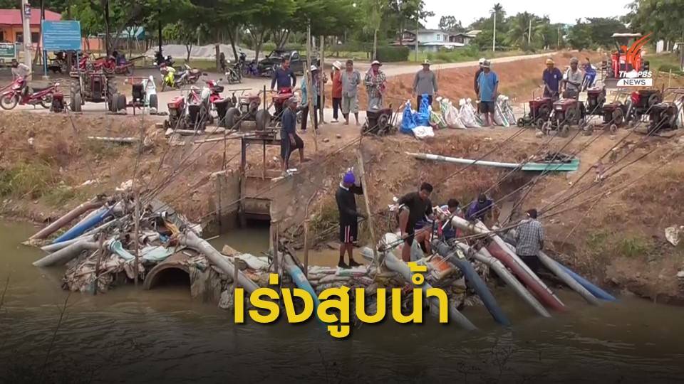 แล้งยังวิกฤตชาวนาแย่งสูบน้ำเข้านา