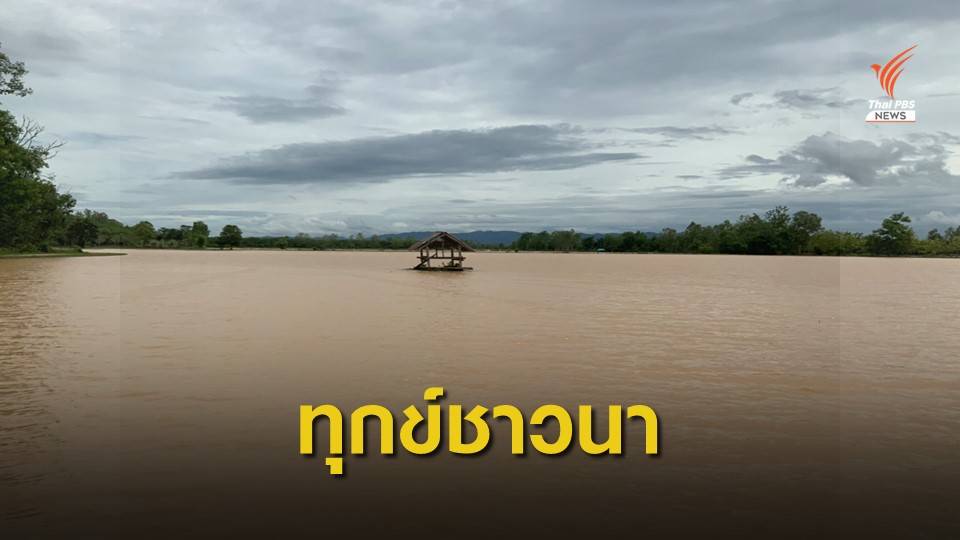 ทุกข์ของชาวนา "ภัยแล้ง-น้ำท่วม"