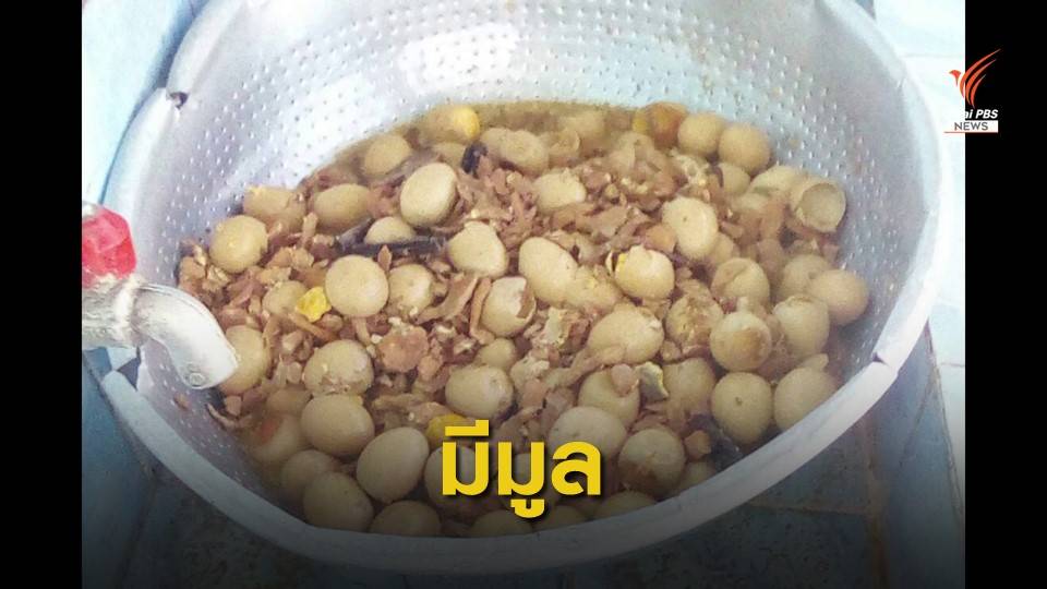 มีมูล! ผลสอบ "ไข่พะโล้บูด" อาหารกลางวันโรงเรียนในปราจีนบุรี