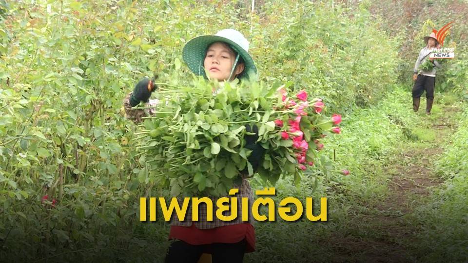 แพทย์เตือนอันตรายจากการใช้สารเคมี โดยเฉพาะ "พาราควอต"