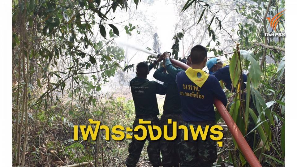 ทัพไทยหนุนช่วยประชาชน-เฝ้าระวังไฟไหม้ป่าพรุควนเคร็ง