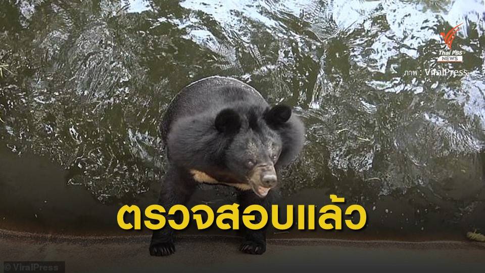 ตรวจสวนสัตว์ดัง ไม่ตกมาตรฐาน หลังสื่อนอกแพร่ข่าวทรมานหมี