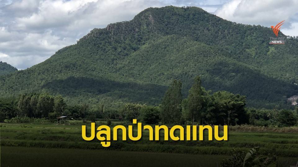 กติกาใหม่! ห้ามปลูกพืชเชิงเดี่ยวในที่ดินทำกิน คทช.