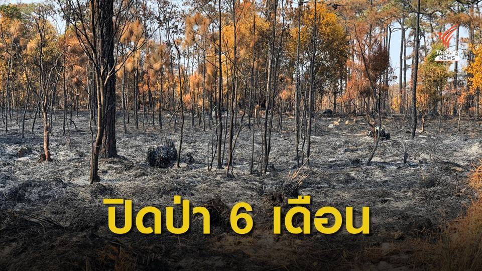 ปิดภูกระดึง 6 เดือน ฟื้นป่าไฟไหม้