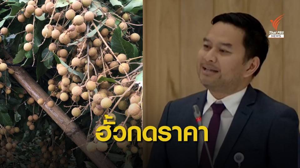 ทุนจีนฮุบไทย! ล้งจีนฮั้วกดราคาลำไย-โกยกำไรออกนอกประเทศ