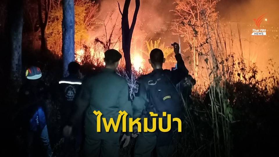 ผู้ว่าฯ ระยอง ยันเป็นไฟไหม้ป่าไม่ใช่เฮลิคอปเตอร์ตก