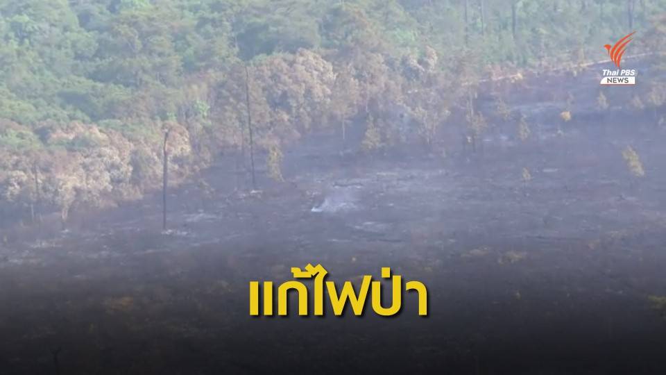 อธิบดีกรมอุทยานฯ สั่งแก้ไฟป่า "ภูกระดึง" ระยะยาว