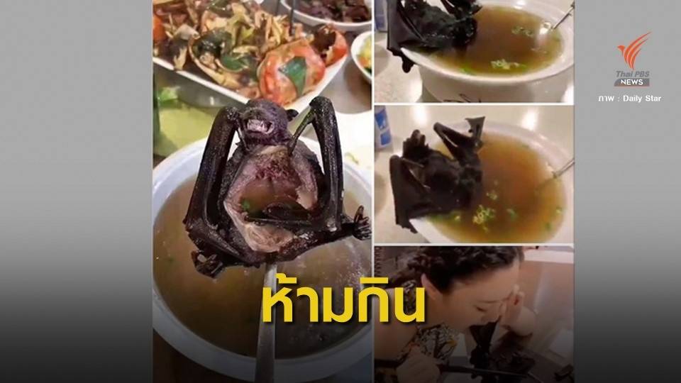 เตือน! เปิบซุปค้างคาวเสี่ยงติดเชื้อ "ไวรัสโคโรนา"