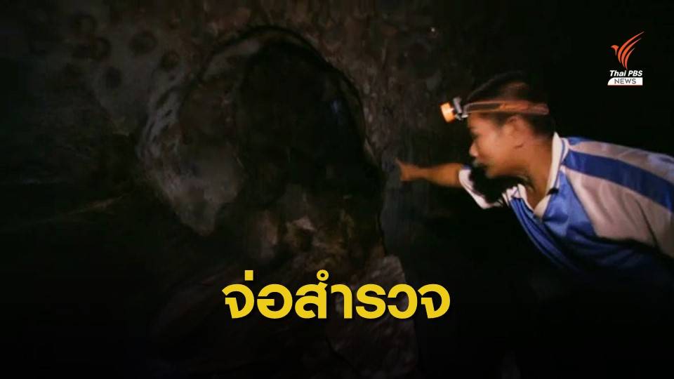 นักวิจัยชี้ยังไม่พบ "ไวรัสโคโรนาสายพันธุ์ใหม่" ในค้างคาวไทย