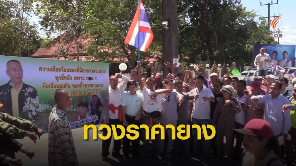 บุกบ้านส.ส.รัฐบาล นครศรีฯ ทวงสัญญา ราคายางยังไม่ขยับขึ้น