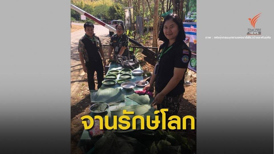 อุทยานตาดหมอก ผลิต "จานใบไม้" แจกนักท่องเที่ยว