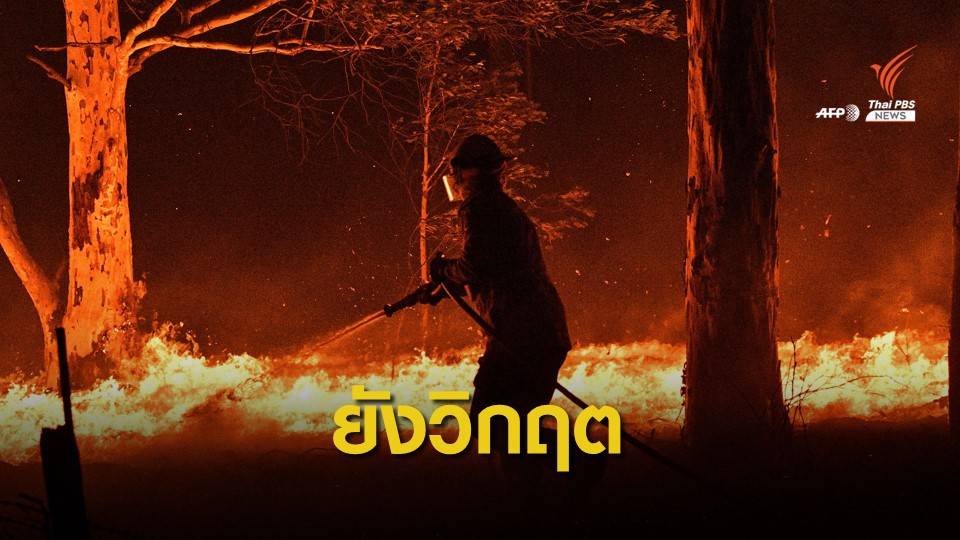 ยังวิกฤต! ระดมความช่วยเหลือไฟป่าออสเตรเลีย ไหม้อีกกว่า 200 จุด
