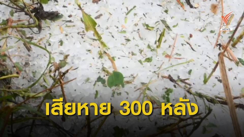 พายุลูกเห็บพัดถล่ม จ.เชียงราย