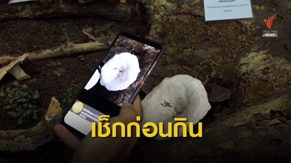ลดความเสี่ยง! นักวิจัยพัฒนาแอปพลิเคชันตรวจ "เห็ดพิษ"