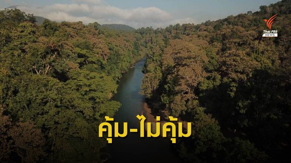 โครงการผันน้ำยวม 8 หมื่นล้าน “พัฒนา” หรือ “รังแก” คนชายขอบ