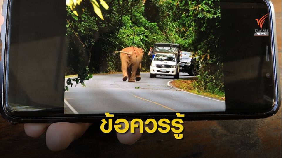 เช็กด่วน! กฎ-ข้อห้ามเที่ยวอุทยานแบบไม่ขัดใจรับปีใหม่