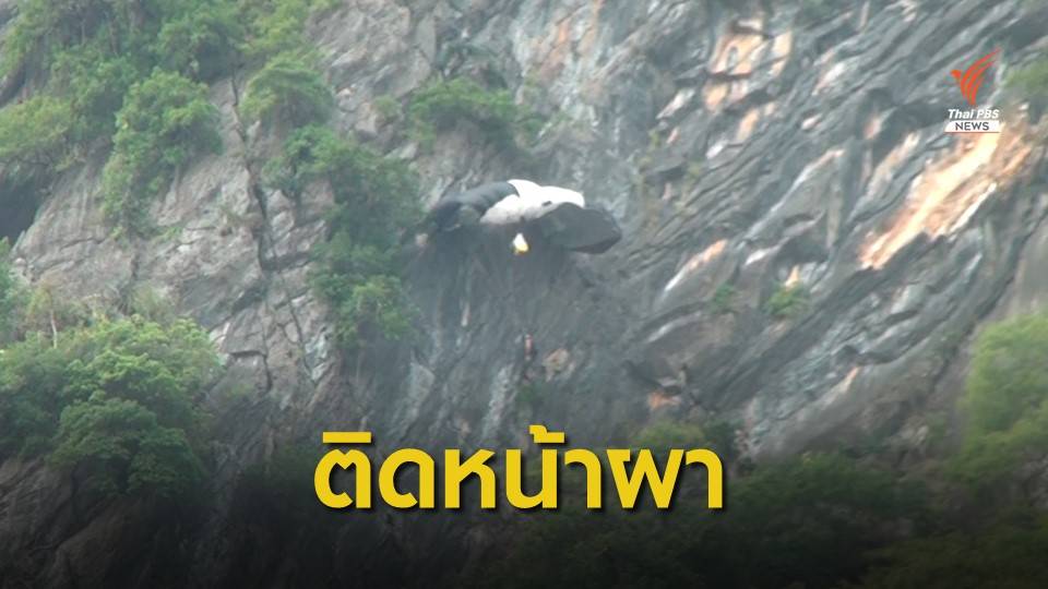 หนุ่มออสเตรียโดดเขาอกทะลุ ร่มเกี่ยวกิ่งไม้ติดหน้าผา