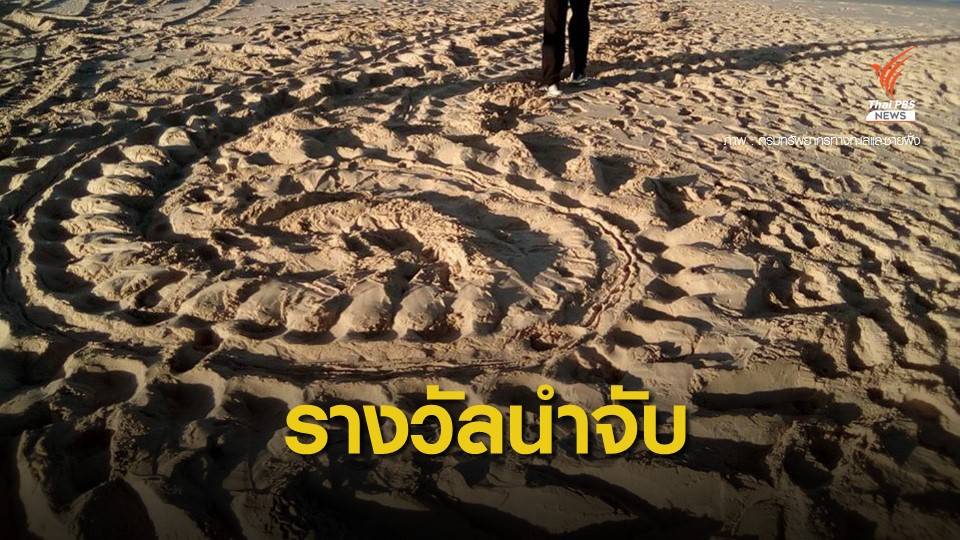 ตั้งค่าหัว 100,000 บาท เร่งค้นหาขโมยฉก "ไข่เต่ามะเฟือง"