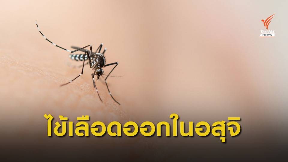 ไทยยังไม่พบไข้เลือดออกติดต่อทางเพศสัมพันธ์