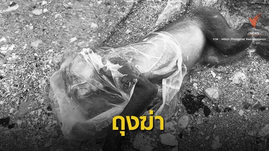 สลด! ลูกลิงติดถุงพลาสติกตาย