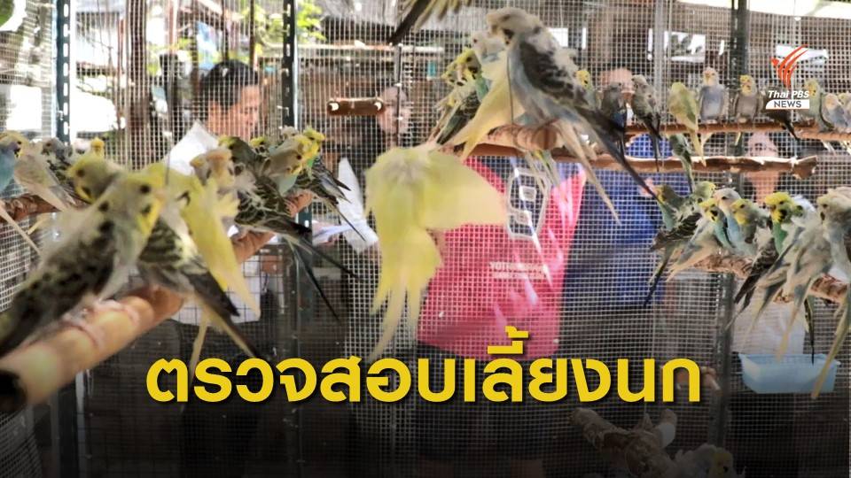 ตรวจสอบการเลี้ยงนกส่งเสียงดังรบกวนชุมชน  เขตบางซื่อ กทม.
