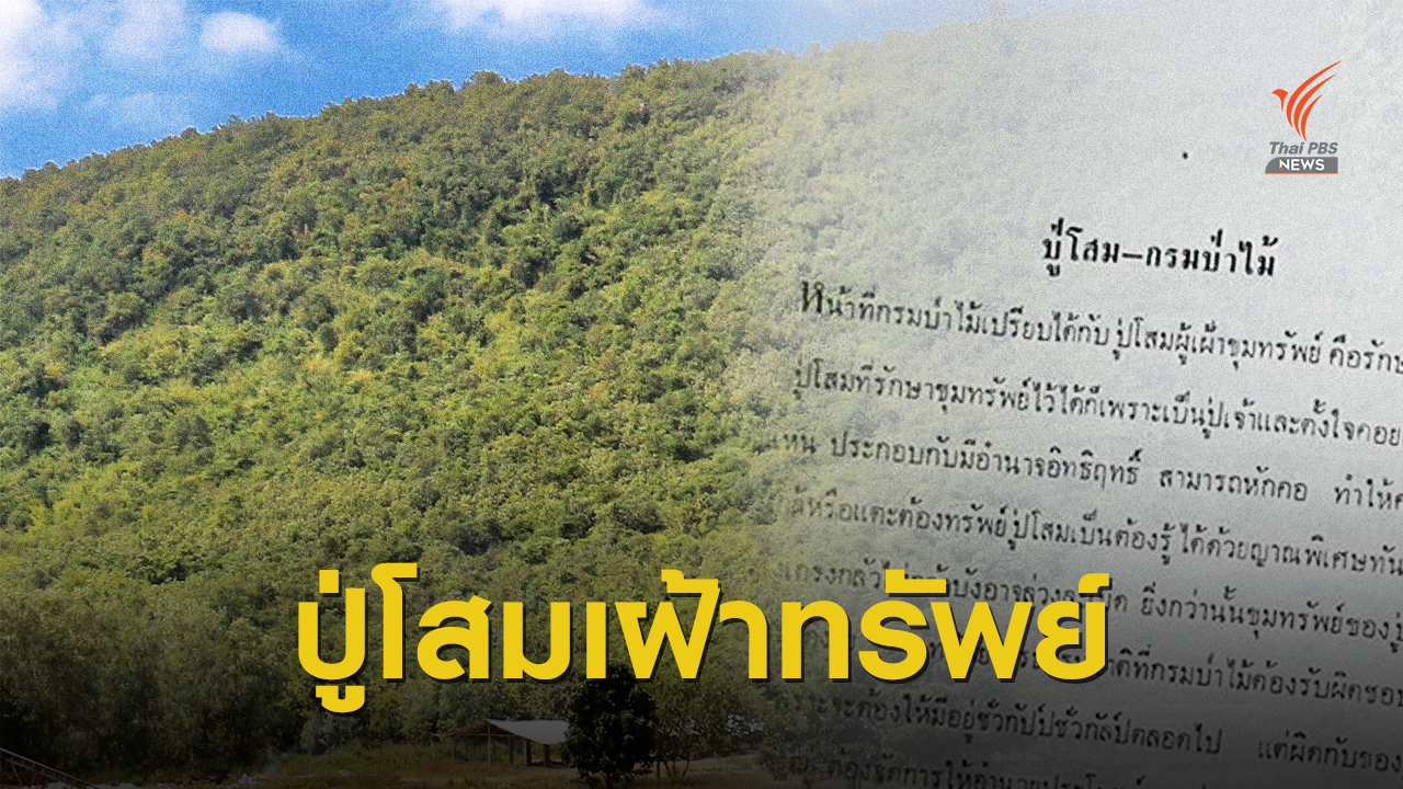 เปรียบ กรมป่าไม้ เป็น "ปู่โสม" เฝ้าทรัพย์แผ่นดิน