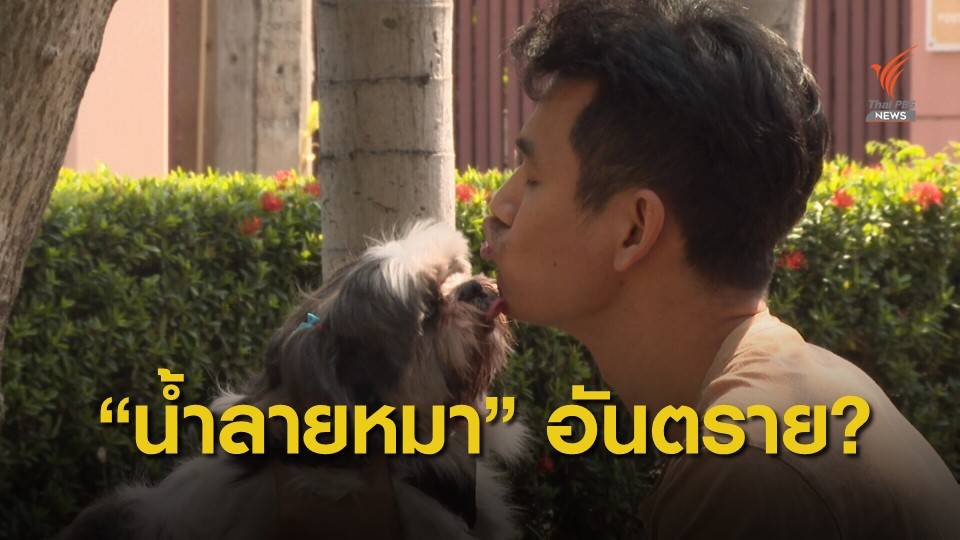 ไขข้อสงสัยน้ำลายหมาทำให้เสียชีวิต