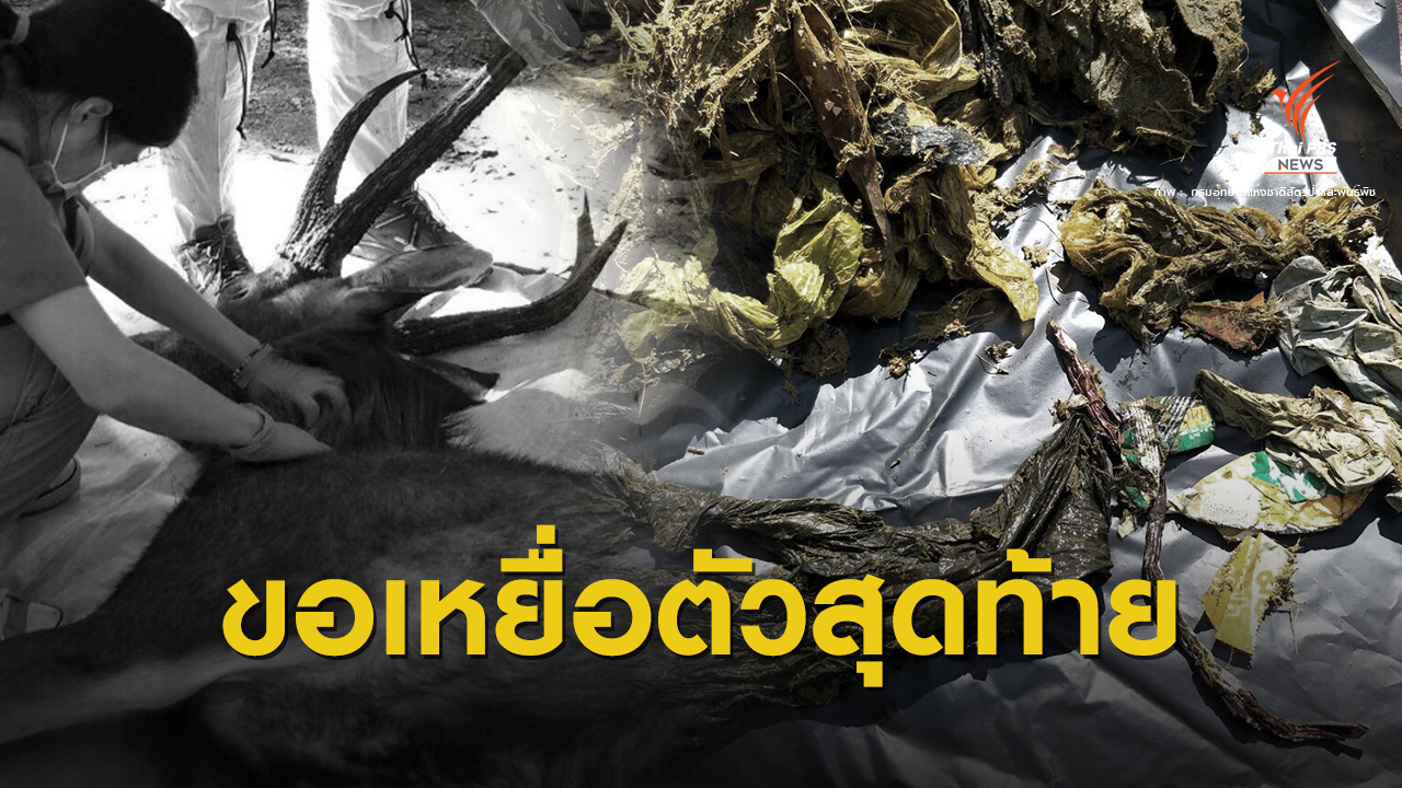 นักท่องเที่ยวต้องรู้ 1 ม.ค.63 ห้ามถุงพลาสติก-โฟมเข้าอุทยาน