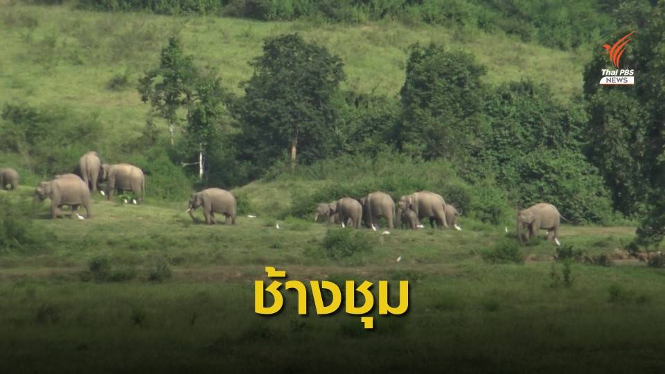 เตือนเที่ยวอช.กุยบุรีระวังสัตว์ป่า