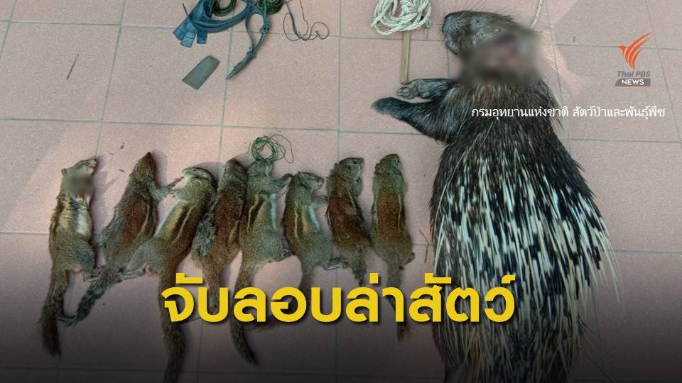 จับพรานลักลอบล่าสัตว์ อุทยานฯภูจองนายอย จ.อุบลราชธานี