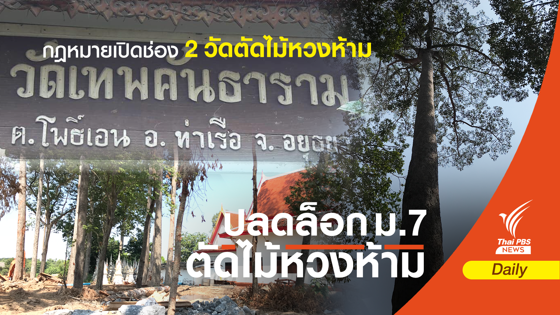 ช่องว่าง! ปลดล็อกมาตรา 7 สู่ 2 คดีวัดตัดไม้หวงห้าม