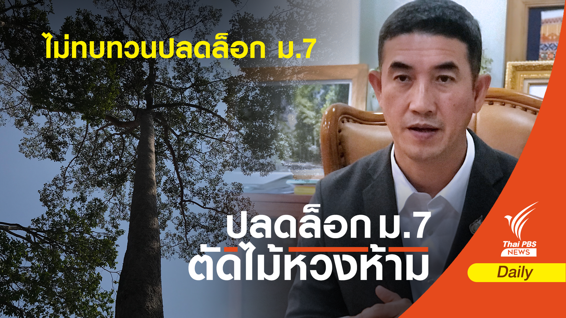 กรมป่าไม้ ไม่ทบทวน ม.7 ปลดล็อกตัดไม้หวงห้าม