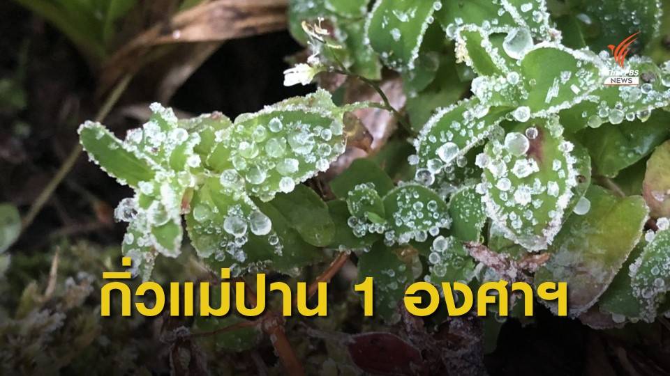 ประชาชนแห่เที่ยวภาคเหนือ สัมผัสอากาศหนาว