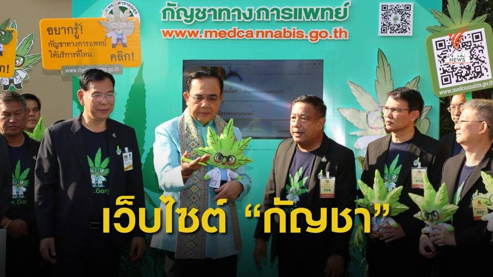 สธ.เปิดเว็บไซต์ ปลดล็อกกัญชาทางการแพทย์