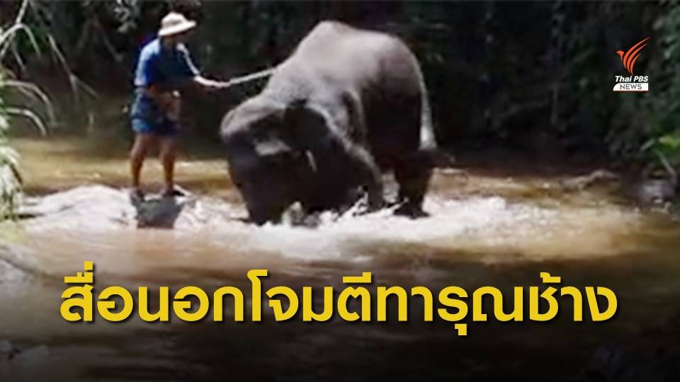 ปางช้างแม่สา จ.เชียงใหม่ ชี้แจง หลังสื่อนอกโจมตีทารุณช้าง