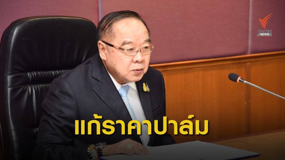 รัฐบาลเดินหน้าแก้ปัญหาราคาปาล์มน้ำมัน