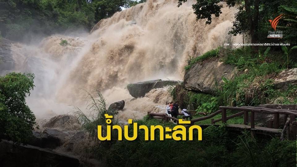 น้ำป่าทะลักน้ำตกดัง! หลังฝนถล่มดอยอินทนนท์