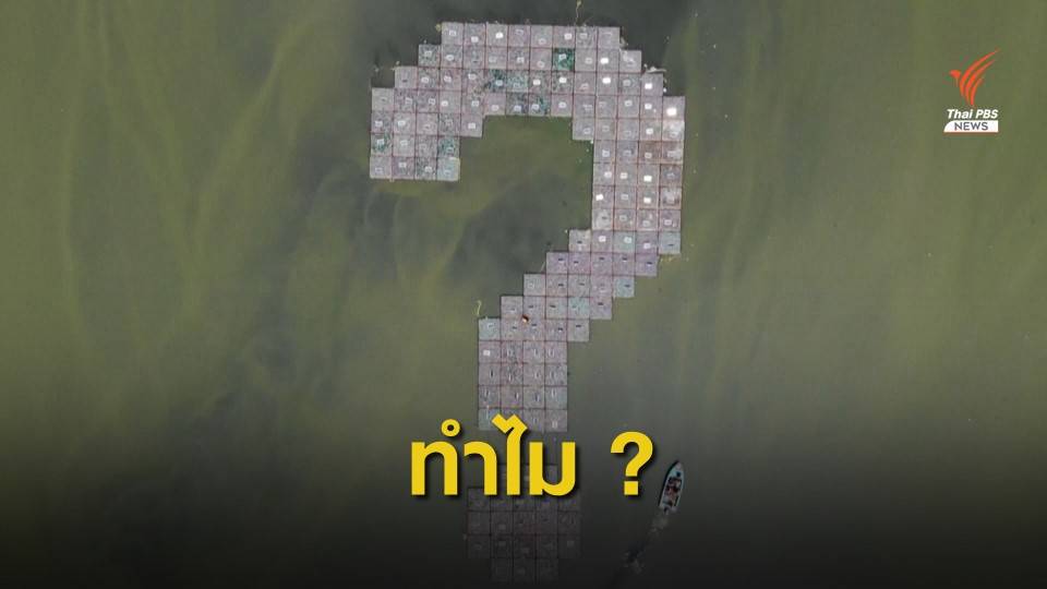 ศิลปินอินเดียใช้ "ขวดพลาสติก" สร้างศิลปะกระตุ้นสังคม