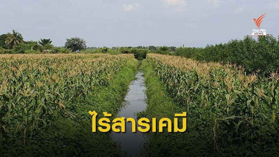 อดีตผู้ว่าฯ ทำเกษตร 400 ไร่ ไร้สารเคมีกว่า 20 ปี