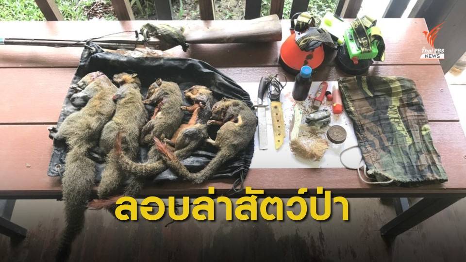 จับ 3 พรานล่าสัตว์ป่าในเขตฯ เขาประ-บางคราม จ.กระบี่