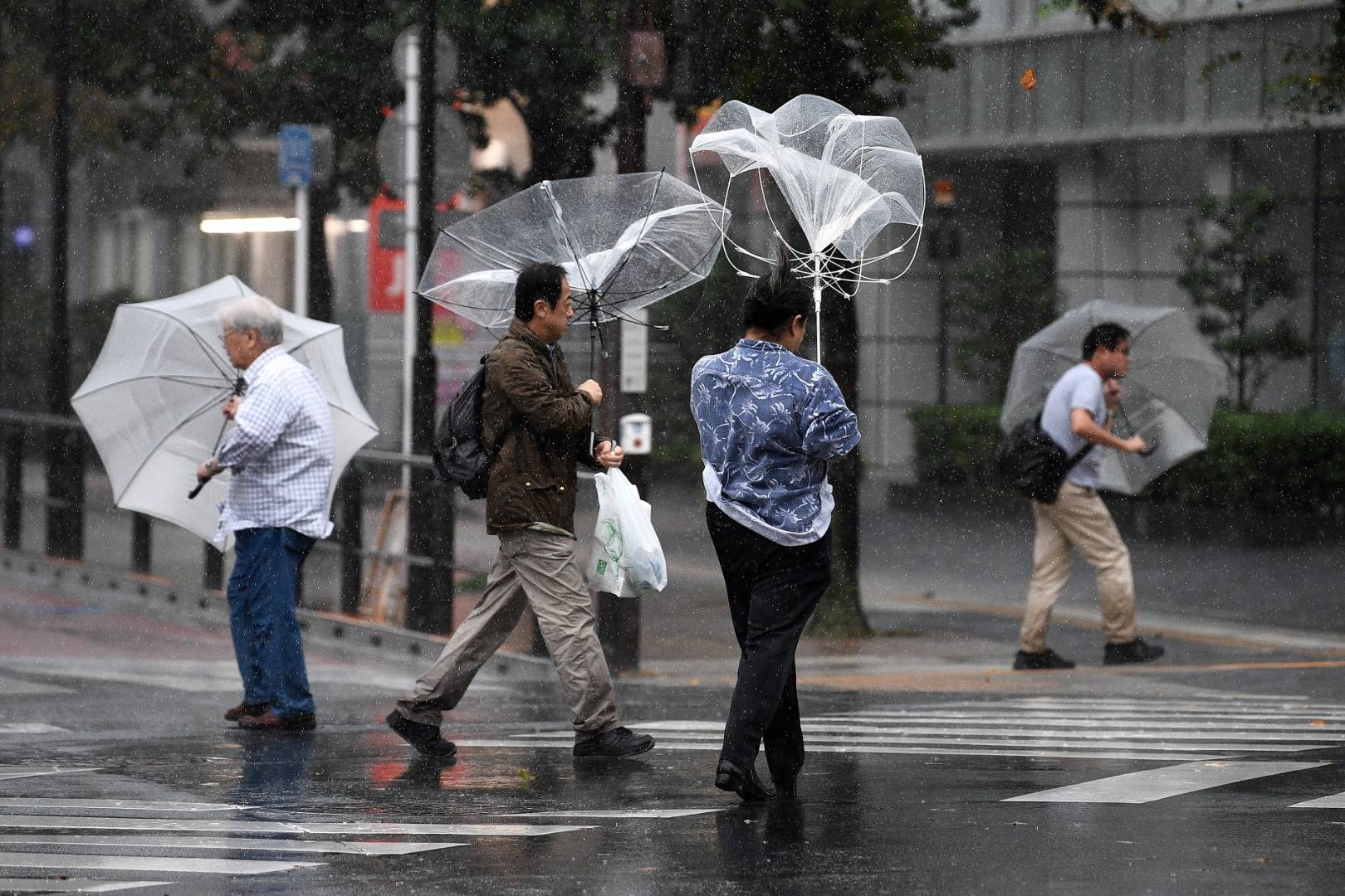 ญี่ปุ่นเตือนภัยไต้ฝุ่น "ฮากีบิส"  7 จังหวัดฝนตกรุนแรงที่สุดระดับ 5 